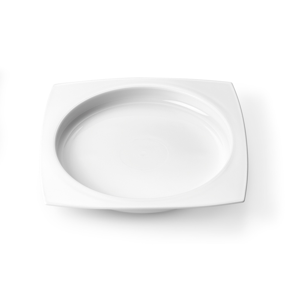 Plate - with high rim