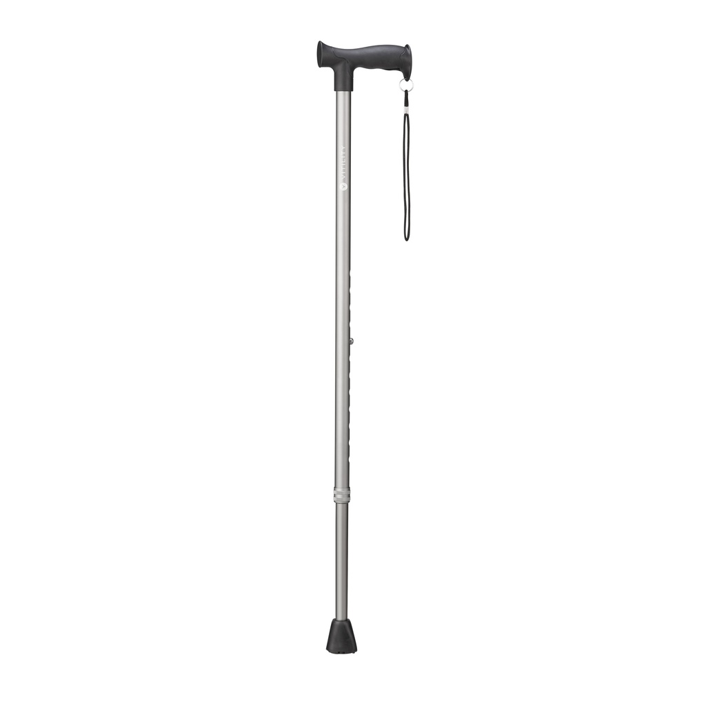 Walking cane - grey
