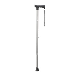 [70510410] Wandelstok - grijs